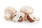 Fresh mushroom champignon on white background