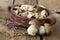 Fresh mushrooms boletus in a bowl