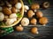 Fresh mushrooms harvest assortment dinner wooden background vegetarian