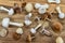 Fresh mushrooms on a wooden chopping board. Overhead view.