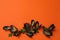 Fresh mussels on orange background, space for text