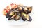 Fresh mussels on a white plate served with colorful vegetables for lunch