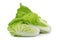 fresh napa cabbage on white background.