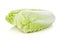 Fresh napa chinese cabbage