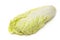 Fresh napa (chinese) cabbage isolated