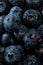 Fresh natural antioxidant blueberries pile, macro detailed close up