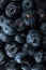 Fresh natural antioxidant blueberries pile, macro detailed close up