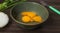 Fresh natural eggs in a bowl with spring onions and coriander to prepare for fried eggs, omelettes