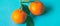 Fresh natural juicy tangerines, clementine fruit dessert for healthy nutrition diet, organic garden food, mandarin orange in