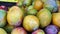 Fresh, Natural, Organic Mangoes on Display at a Farmers` Market