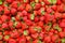 Fresh natural strawberry background