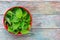 Fresh nettle leaves in a red bowl on a wooden background with space for text