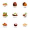 Fresh nuts icon set, cartoon style