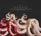 Fresh octopus Vector realistic. 3d detailed illustrations