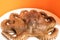 Fresh octopus on white dish ready to cook on orange background