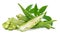 Fresh okra cut out with isolated background