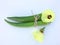 Fresh okra fruit and flowers Abelmoschus esculentus okra slice on white background
