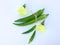 Fresh okra fruit and flowers Abelmoschus esculentus okra slice on white background