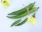 Fresh okra fruit and flowers Abelmoschus esculentus okra slice on white background