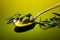 Fresh olives and olive oil floating in spoon on a green background