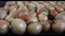 Fresh onions move on a conveyor belt in a sorting complex close-up 4K