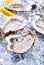 Fresh opened gourmet oyster with sliced lemon on crushed ice