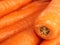 Fresh orange carrots closeup