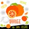 Fresh orange citrus grapefruits fruits organic vegan food vector hand drawn illustrations