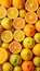 Fresh orange fruit background, top view, vibrant citrus display