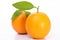 Fresh Orange fruits