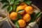 Fresh orange fruits with leaves in basket. Harvest of organic freshly picked oranges. Top view