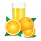 Fresh orange juice and pieces of orange, citrus juice and orange