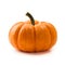 Fresh orange miniature pumpkin isolated