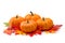 Fresh orange miniature pumpkins isolated