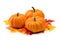 Fresh orange miniature pumpkins isolated