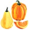 Fresh orange pumpkin isolated, whole pumpkin and slice, autumn harvest. organic vegetarian raw food, natural ingredient