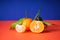 Fresh orange tangerines with leaves, on a blue background. Close-up