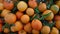 Fresh Oranges Closeup of Fruits