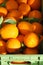 Fresh oranges closeup on the market. vertical