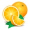 Fresh oranges fruit, pieces of orange. Realistic oranges, vector