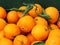 Fresh Oranges For Sale