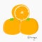 Fresh Oranges Vector