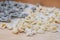 Fresh orecchiette or orecchietta Italian pasta