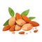 Fresh organic almonds, a healthy snack