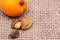 Fresh Organic Apricots and Apricot Kernels the seed of an apricot, often called a `stone` on natural burlap background.