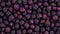 Fresh Organic Blackberry Berry Horizontal Background.
