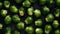 Fresh Organic Brussels Sprouts Vegetable Horizontal Background.