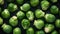 Fresh Organic Brussels Sprouts Vegetable Horizontal Background.