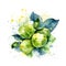 Fresh Organic Brussels Sprouts Vegetable Square Background.