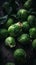 Fresh Organic Brussels Sprouts Vegetable Vertical Background.